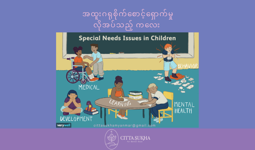 Special Needs Issues in Children